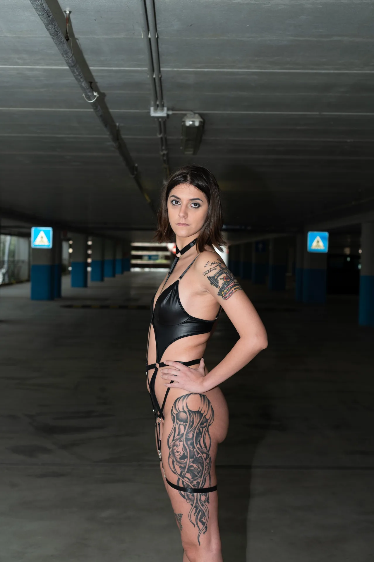 Harnessed, foto 8 de 10